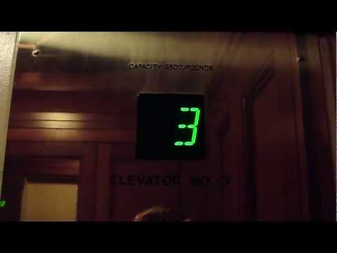 She has to pee! in the Otis Traction elevator @ the Hilton Hotel in Charlotte NC
