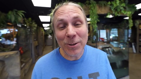 Wild Snake Defends Her Newborns!