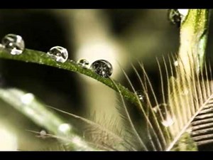 Faith Hill - Let Me Let Go (with Lyrics)
