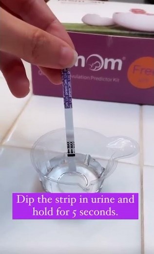 5 Tips for Tracking Ovulation Using an Ovulation Tracking App