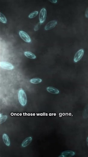 Why Does Soap Kill Germs? 🧼 | Science Shorts