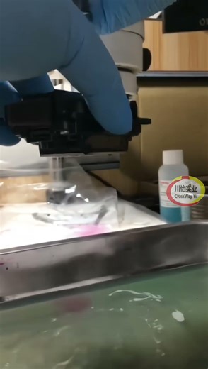 Cleaning Epson Printhead Manaul Fix Clog Head Problems for the Inkjet Printers