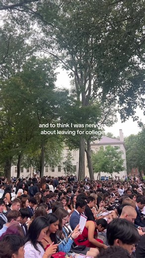 Freshman Year at Harvard: A College Journey