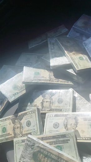 Showcasing US Currency Notes: A Visual Collection