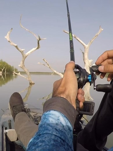 Estaba muy grande, esa lobina 😓 | Pesca De Compas