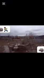 399K views · 6.2K reactions | It's my first time seeing goat love things藍藍藍I mean soft life##fblifestyle #goodvibes @highlight #trendingreelsvideo #viralreelschallenge #readskill #tiktokviral #love #prank #reading #kids #UnitedStates #thankyouforyoursupport #dedication #fblifestyle | Trending Videos | Facebook