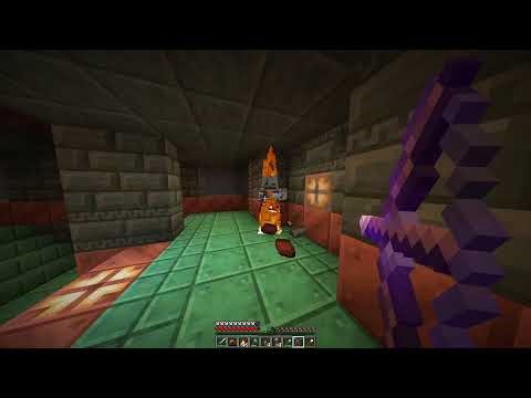 Taking on a Trial Chamber - Michael SMP