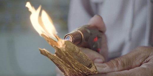 Why agarwood is so expensive