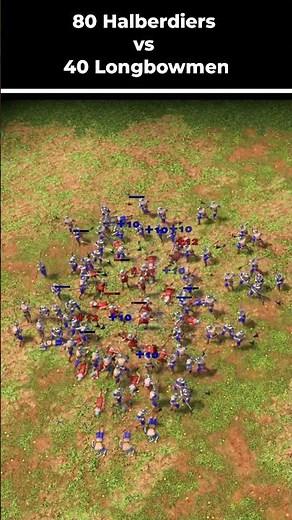 Age of Empires 3 Definitive Edition | 80 HALBERDIERS vs 40 LONGBOWMEN | Epic Battle #shorts