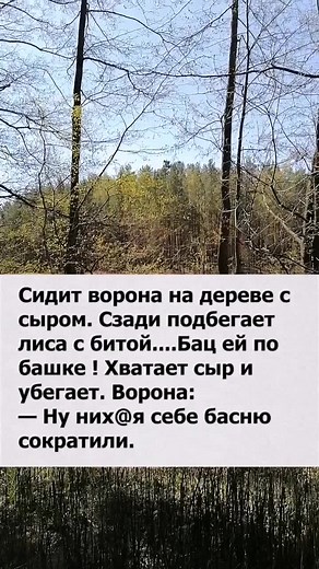 Exploring a Peaceful Forest Scene with Deciduous Trees