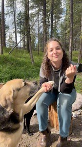 Raw steak for the birthday queens! They’re hilarious, way too smart for their own good, and yes they know sign language! 😅 #steak #dogs #signlanguage | Sama Louisaa