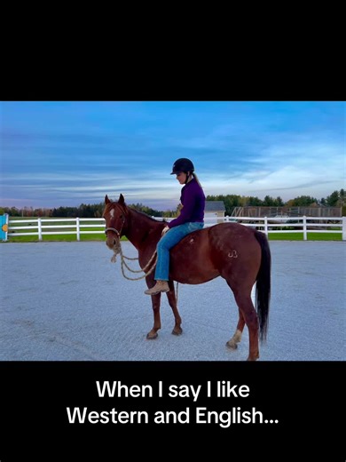 Exploring Western and English Riding Styles