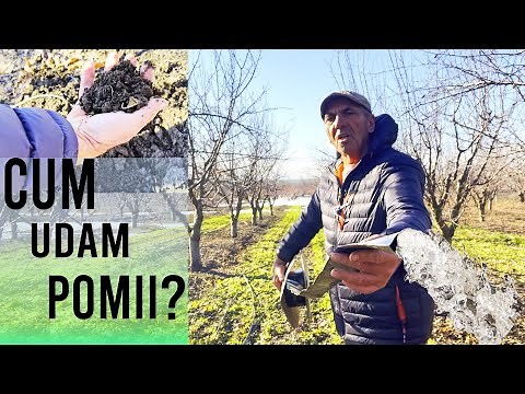 3 metode de a uda pomii, via si altele!
