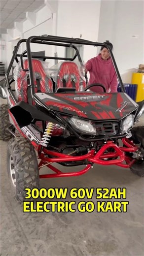 3000W Adult Electric go kart with two seat, Electric buggy factory, off road #gokart #buggy