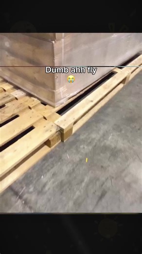 Heroic Bystander Confronts Gunman at Bondi Beach