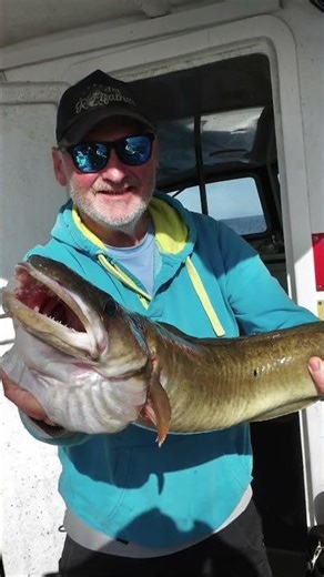 Fishing life with FISHnTHINGS 🎣🐟🐟🐟