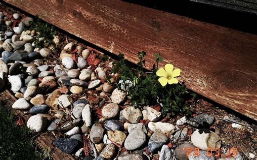 Leetcode 393(medium). UTF 8 Validation | 数据结构 | 刷题找工作 | 位运算 | 位操作 | 位掩码