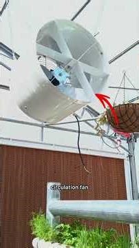 automate 4 growing zones in less 24 Hours (Full Breakdown) 🚀 for R&D Greenhouse