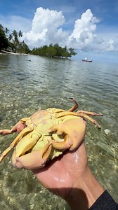 111K views · 1.5K reactions | Poison CRAB 冷?? | PH Adventures | Facebook