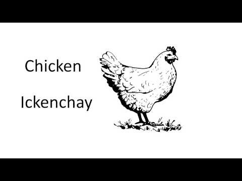 Learn to Speak Pig latin - Animals