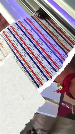 Custom Sticker Design & Printing Wholesale 🔥 | Logo & Branding Stickers