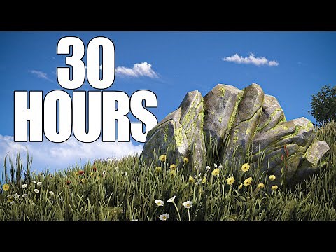 i played rust for 30 hours and this is what happened