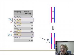 Ch. 9 Linkage and Genetic Maps - Part 2 - Genetic maps and three-factor crosses