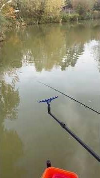 How to Band a pellet and load a method feeder with pellets for Carp. Help for new Anglers #fishing