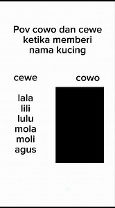 Cat Meme: Nama Kucing yang Lucu dan Menggemaskan