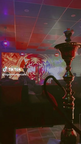 Interesting Facts About Tigers in the Wild