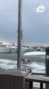 19M views · 84K reactions | A golden retriever was caught on camera riding a jet ski in a river off the coast of Fort Lauderdale, Florida. The dog was seen wearing a yellow life jacket while it sat comfortably on the jet ski while its owner used a jetpack to pull it. | ABC7 News | Facebook