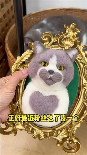 #Who could resist such a cute little kitten...?