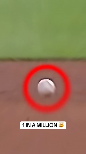 1 IN A MILLION Baseball Moments 🤯 #MLB #baseball #legend #hitking #baseballgame #baseballseason #mlbhistory #baseballlife #MLB #short | Top Hitter Base Ball