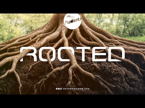 Rooted Week 1
