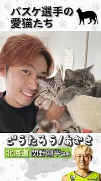 今日は #猫の日 🐱バスケ選手の猫ちゃんたちが大集合🫶 #にゃんにゃんにゃんの日 #Bリーグ #りそなグループ