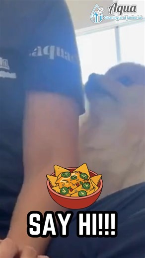 🚀 Unboxing our newest cleaning weapon — the McCulloch MC1385! From deep steam sanitizing to spotless shine, this powerhouse just joined the Aqua Cleaning family. Because when it comes to clean… we mean business 💪 #AquaCleaning #Unboxing #SteamCleaning #McCullochMC1385 #CleaningTools #BehindTheClean #ProfessionalCleaners #JanitorialExperts | Aqua Cleaning & Janitorial