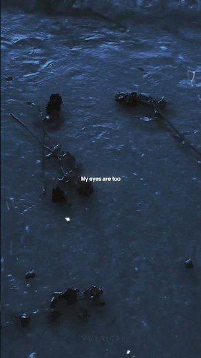 Famy || Ava || this world is primal || Slowed || Aesthetic || #lyrics #aestheic #song #shorts #famy
