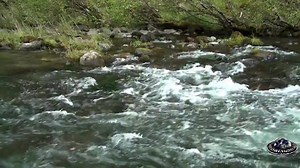 15K views · 255 reactions | Detailed Video of HOW TO READ WATER. | TopFishingSecrets.com | Facebook