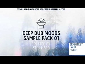 Deep Dub Techno Samples & Loops - Stillhead & Brightest Dark Place