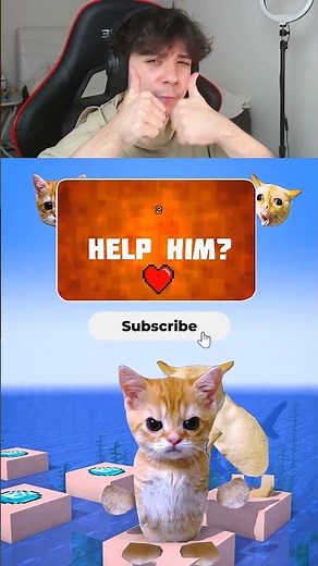 Cats 7 Minecraft Animation