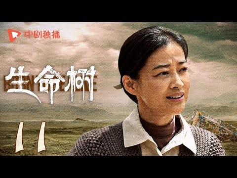生命树 11 | Born to be alive 11（杨紫、胡歌、李光洁、张哲华、杨烁、梅婷 领衔主演）