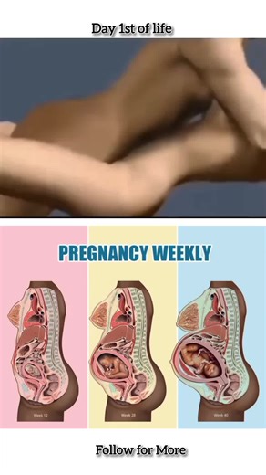 36 Weeks Pregnant: What to Expect
