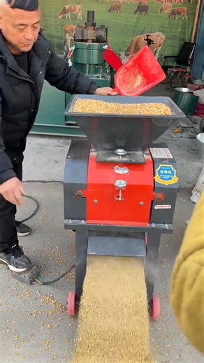Corn Crusher Machine for Poultry & Cattle Feed Maize Grinder Demo #corncrusher #farmequipment #viral
