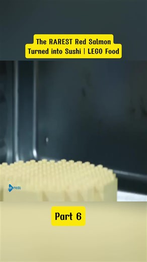 RAREST Red Salmon Sushi Made with LEGO Bricks | LEGO Food