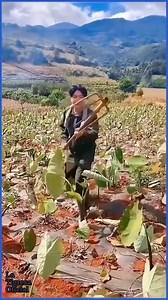 ¡¡¡Genial!!! 😛🤙🤙 | 13 Reasons Why MEMES