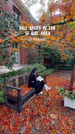 Bay Area fall streets to visit — Palo Alto, Los Altos, Mountain View
