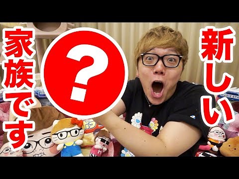 A new member has come to the Hikakin family.