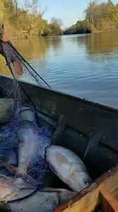 1.6M views · 14K reactions | It was a great day to be on the water! This is the day that the Lord has made. I will rejoice and be glad in it. As always, let us know where you are watching from in the comments. #fishing #carpfishing | Winstead Bait Shop | Facebook