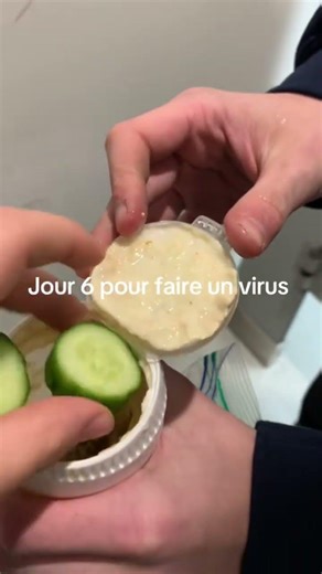 Jour 6 pour faire un virus