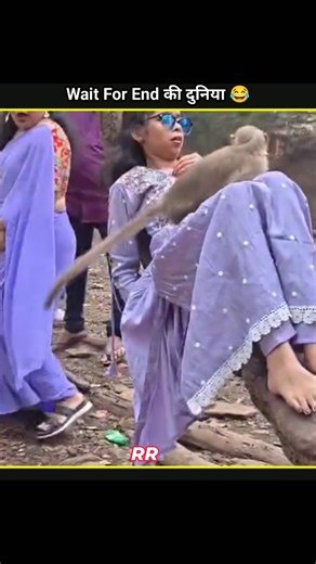 Animals Funny Video 😂😂|| #funny #funnyanimals #shorts